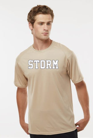 Storm Baseball Wicking Tee- Youth, Ladies, Adult Sizes
