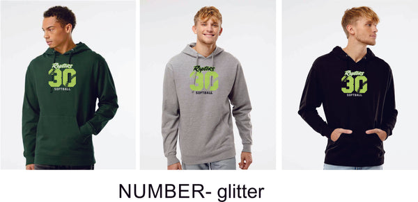 Raptors Softball Hoodie- Adult and Youth