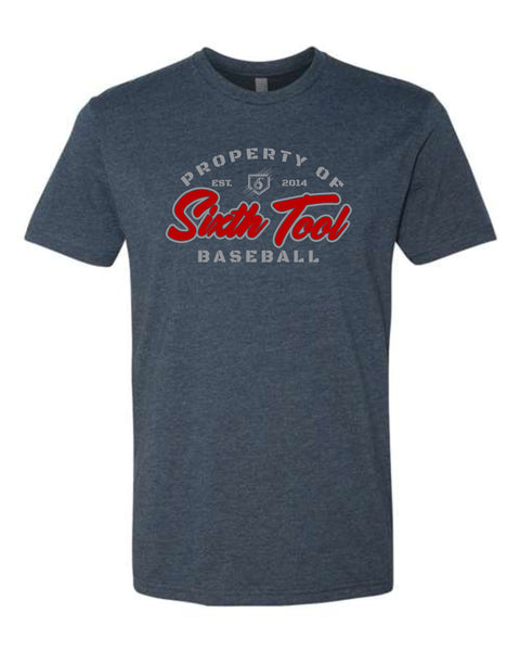6th Tool Mavs Unisex PROPERTY OF Tee- matte and glitter