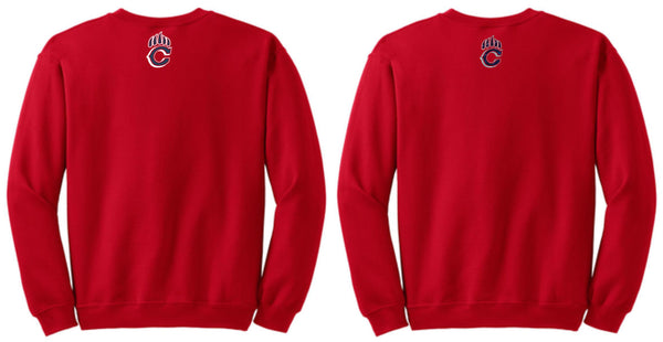 Chap Flag Football Crewneck Sweatshirt- 4 design options