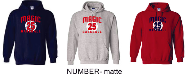 Magic Basic Hoodie- 4 designs Matte or Glitter