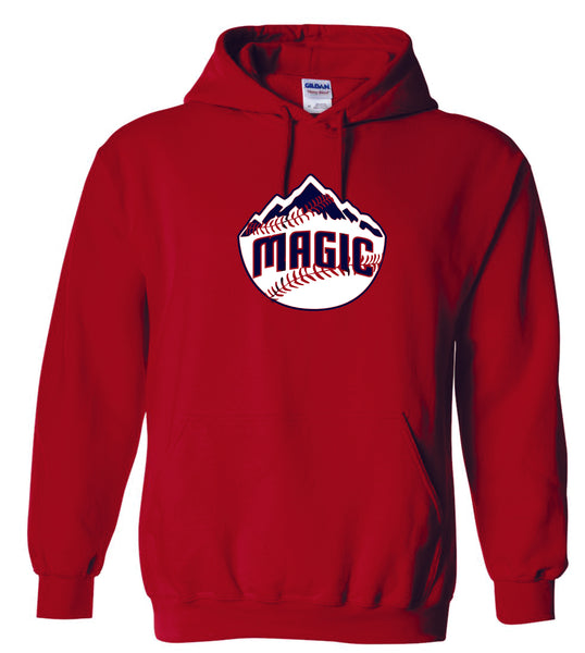 Magic Basic Hoodie- 4 designs Matte or Glitter