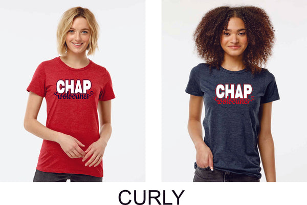 Wolverines Ladies Tee- 3 designs- matte or glitter