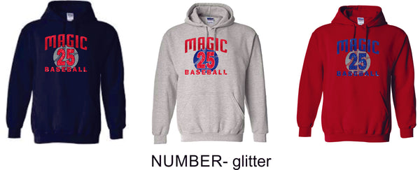 Magic Basic Hoodie- 4 designs Matte or Glitter