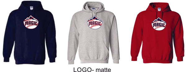 Magic Basic Hoodie- 4 designs Matte or Glitter