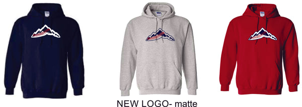 Magic Basic Hoodie- 4 designs Matte or Glitter