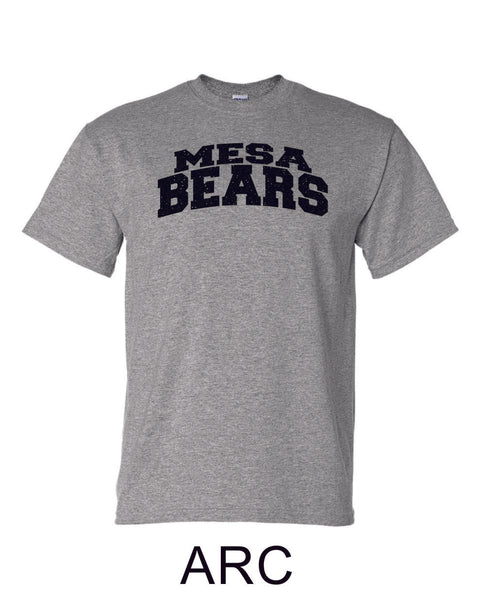 Mesa MS Basic ARC Tee- Matte or Glitter