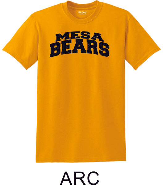 Mesa MS Basic ARC Tee- Matte or Glitter