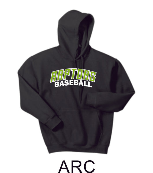 Raptors Baseball Hooded Sweatshirt- 5 designs- Matte or Glitter