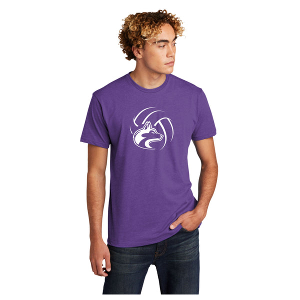 DCHS Volleyball BALL Tee- 4 Colors