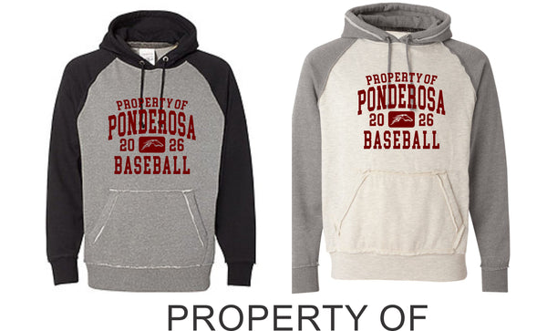 Pondo Baseball Vintage Heathered Hoodie- 12 Designs- Matte or Glitter