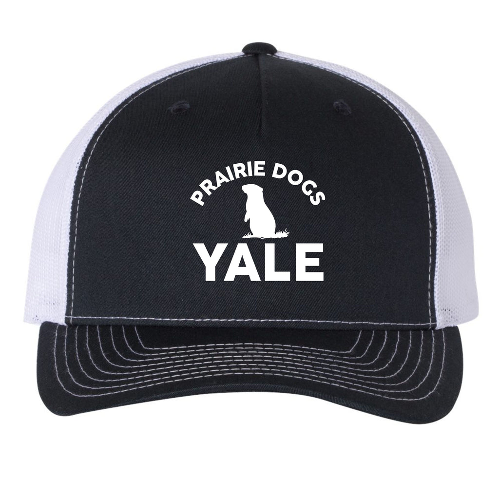 Yale Elementary Five Panel Hat- Matte or Glitter