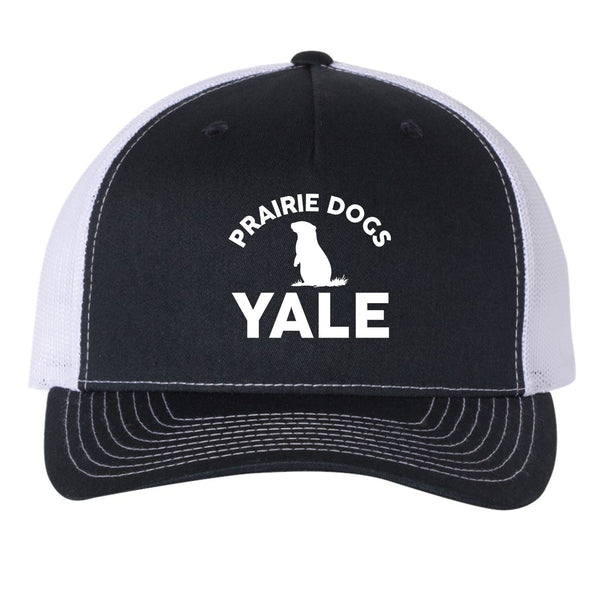 Yale Elementary Five Panel Hat- Matte or Glitter