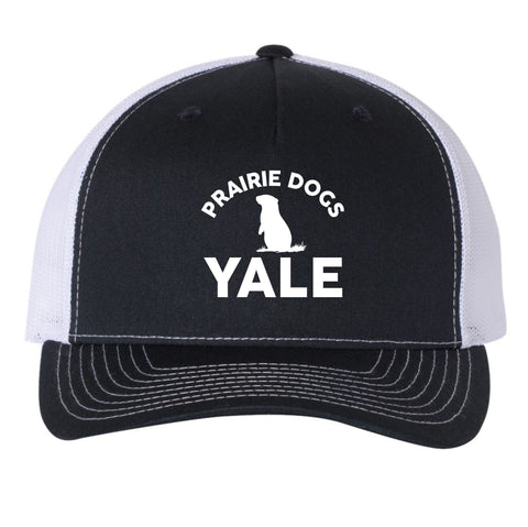 Yale Elementary Five Panel Hat- Matte or Glitter