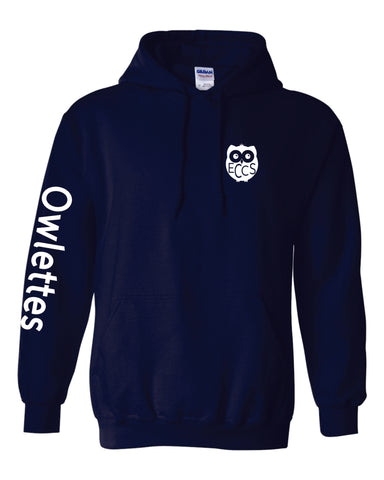 DCSD ECE South Hoodie