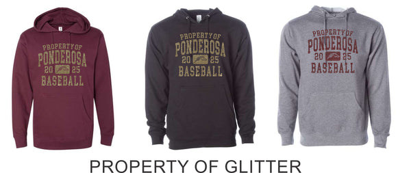 Pondo Baseball Basic Hoodie- 12 designs- Matte or Glitter