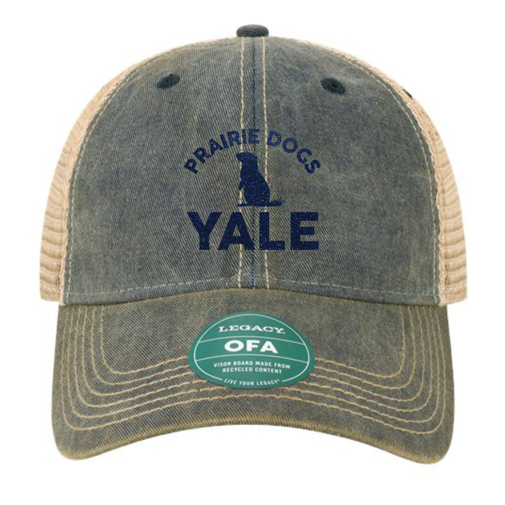 Yale Elementary Glitter Vintage Trucker Hat