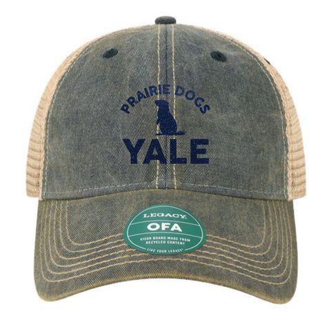 Yale Elementary Glitter Vintage Trucker Hat