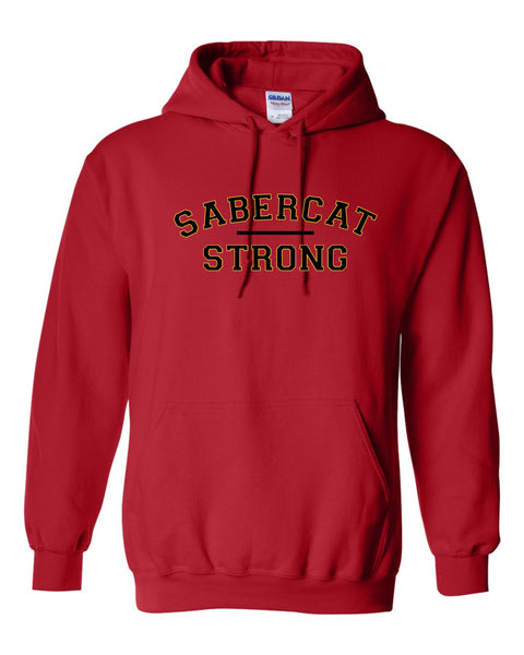 CV Softball Hoodie- Adult and Youth- 3 designs