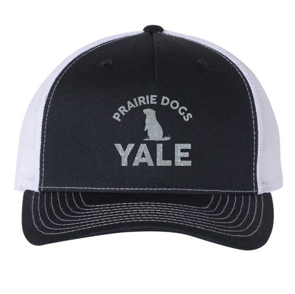 Yale Elementary Five Panel Hat- Matte or Glitter