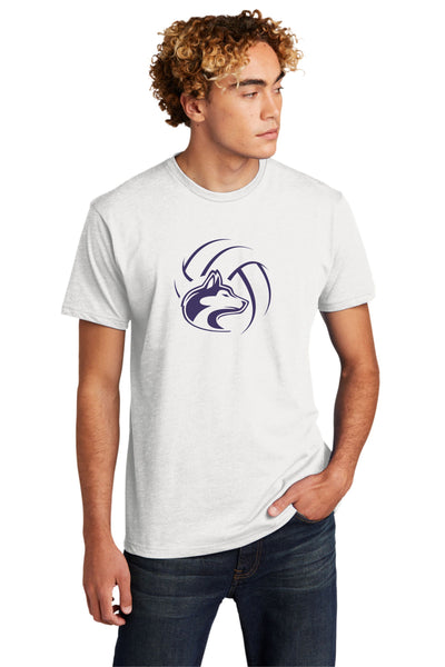 DCHS Volleyball BALL Tee- 4 Colors