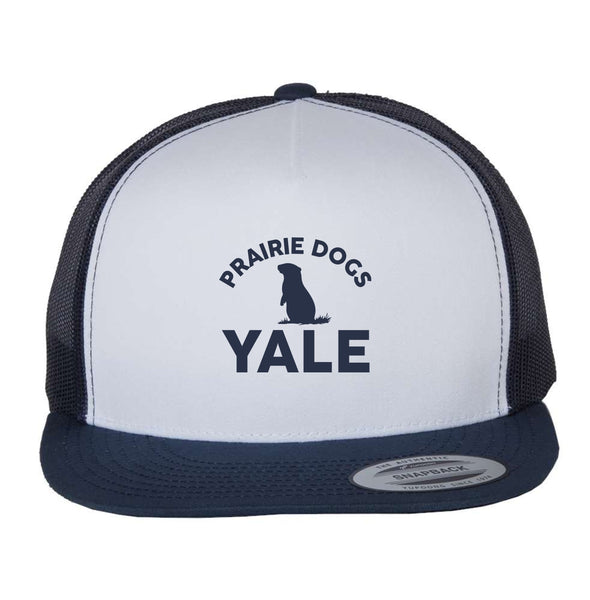 Yale Elementary Flat Bill Hat- Matte or Glitter
