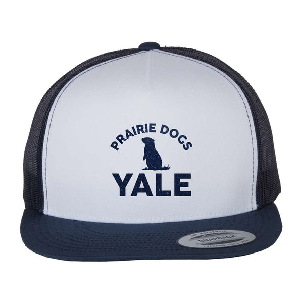 Yale Elementary Flat Bill Hat- Matte or Glitter