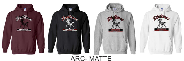 CTE Basic Hoodie -5 Designs