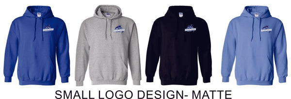 Dartmouth Basic Hoodie- 4 designs