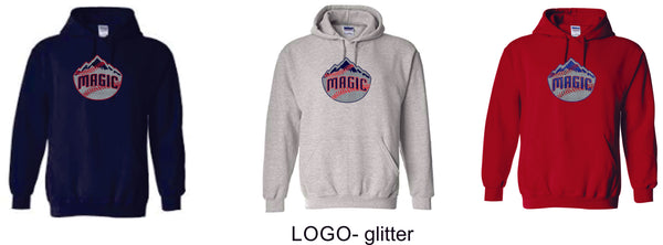 Magic Basic Hoodie- 4 designs Matte or Glitter