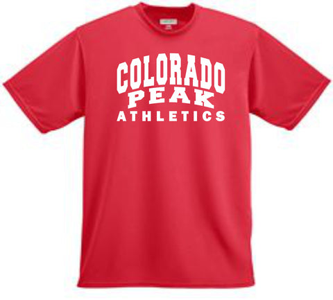 Peak Softball Unisex Wicking Tee- 2 designs