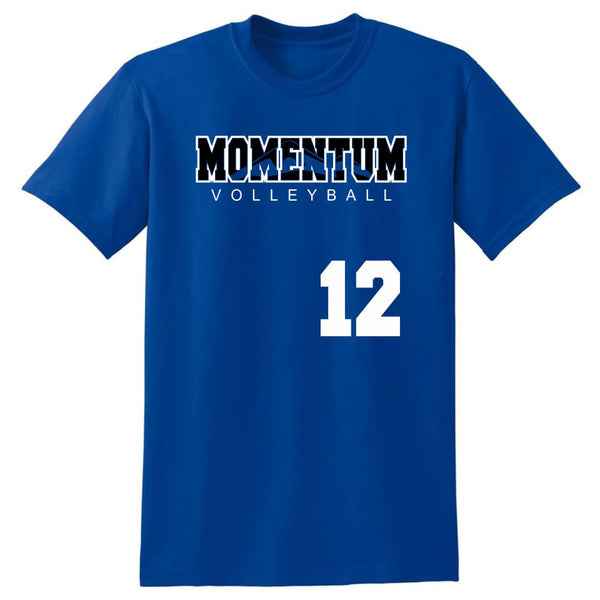 Momentum Volleyball Mountain Tee