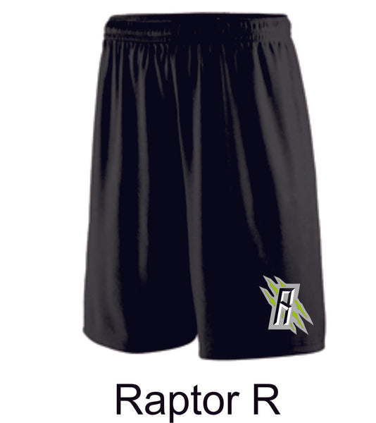 Raptors Wicking Shorts- 2 Designs