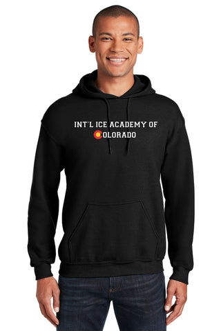 Ice Academy Basic Hoodie- Youth and Adult Sizes