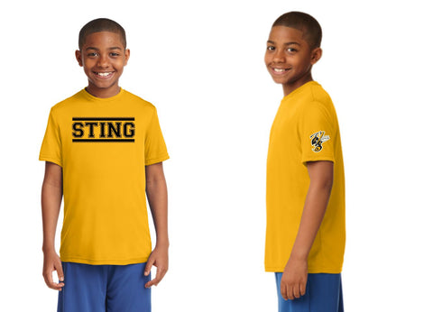 Sting Practice Jerseys 2021