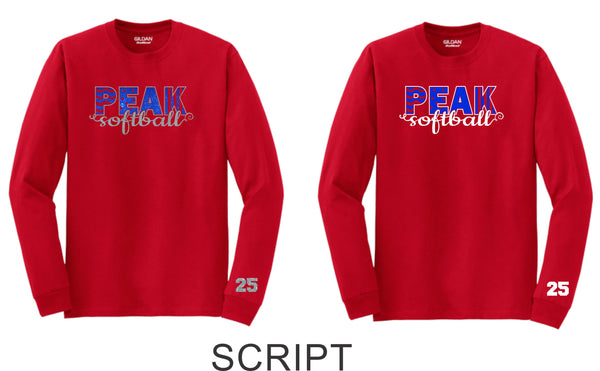 Peak Long Sleeve Tee- 3 designs-Matte or Glitter