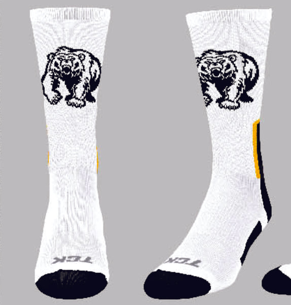 Mesa MS Socks