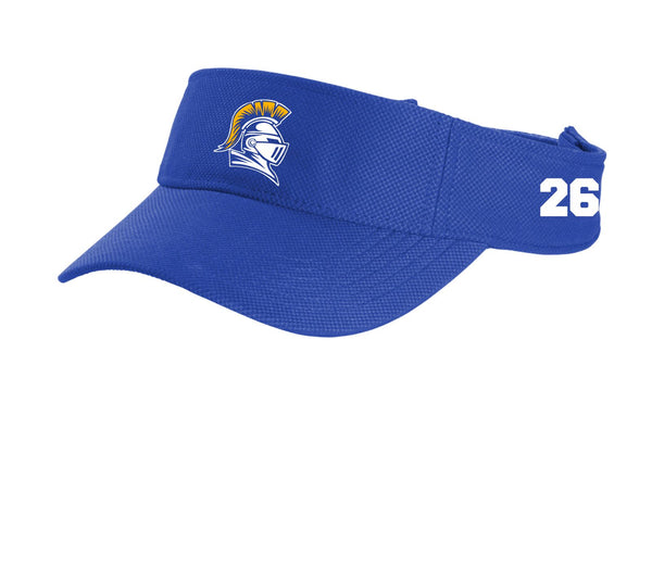 Knights Visors- matte or glitter